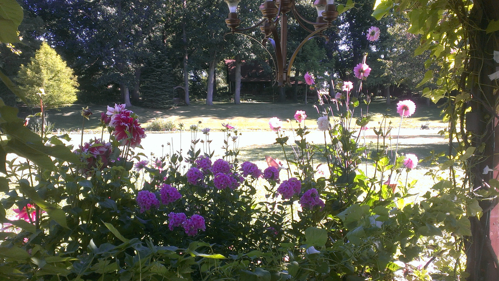 The shade of the Flowering Gazebo is like sitting under a huge tree